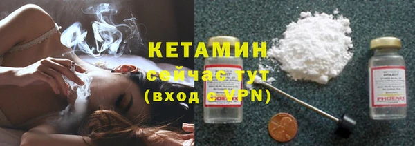 крисы Армянск