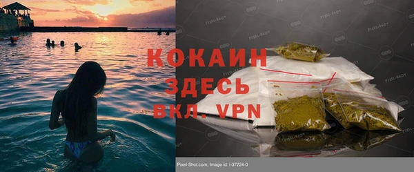 крисы Армянск
