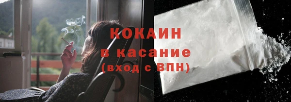 мет Арсеньев