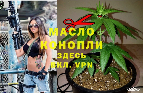 крисы Армянск