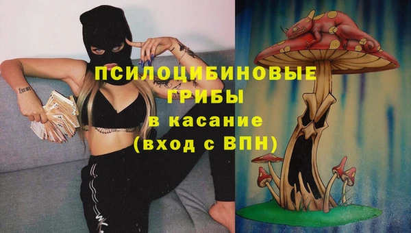 мет Арсеньев
