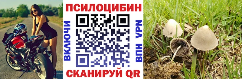 Псилоцибиновые грибы ЛСД  где можно купить наркотик  Голицыно 